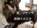 BlogPaint