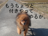 BlogPaint
