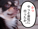 BlogPaint