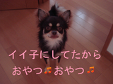 BlogPaint
