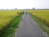 BlogPaint