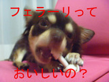 BlogPaint
