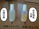 BlogPaint
