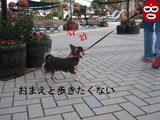 BlogPaint