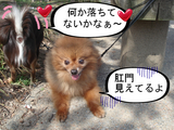 BlogPaint