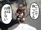 BlogPaint