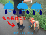 BlogPaint