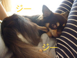 BlogPaint