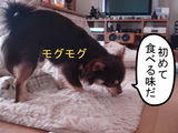 BlogPaint
