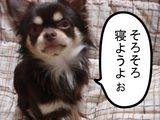 BlogPaint