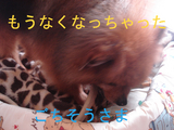 BlogPaint