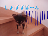BlogPaint