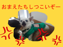 BlogPaint