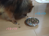 BlogPaint