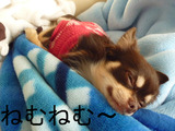 BlogPaint