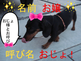 BlogPaint
