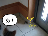 BlogPaint