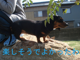 BlogPaint