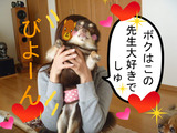 BlogPaint