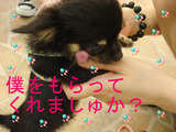 BlogPaint