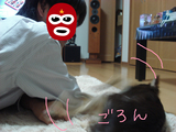 BlogPaint