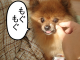 BlogPaint