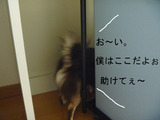 BlogPaint