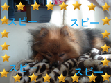 BlogPaint