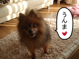BlogPaint