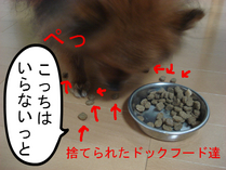 BlogPaint