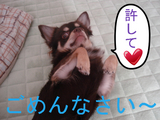 BlogPaint