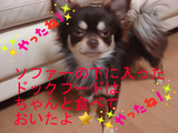 BlogPaint