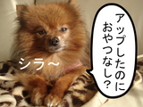 BlogPaint