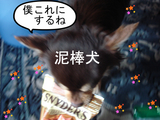 BlogPaint
