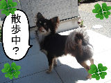 BlogPaint