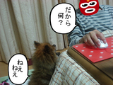 BlogPaint