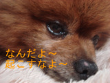 BlogPaint