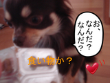 BlogPaint