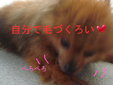 BlogPaint
