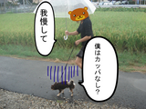 BlogPaint