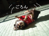 BlogPaint