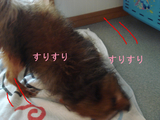 BlogPaint