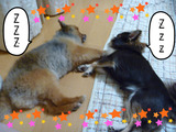 BlogPaint