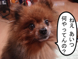 BlogPaint