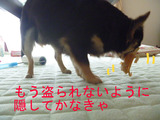 BlogPaint