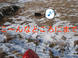 BlogPaint