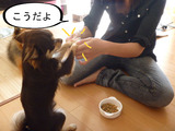 BlogPaint