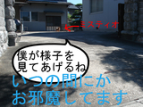 BlogPaint