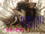 BlogPaint