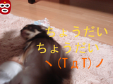 BlogPaint